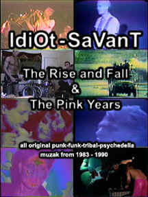 IDIOT-COVER.jpg (107242 bytes)