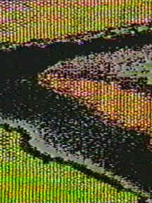 avatar.jpg (119386 bytes)